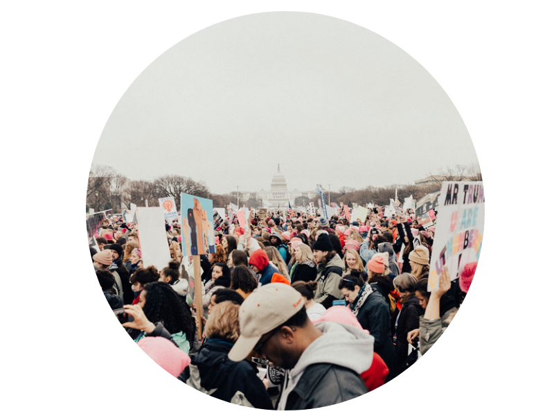 Large crowd protesting with signs, US Capitol building visible in distance.